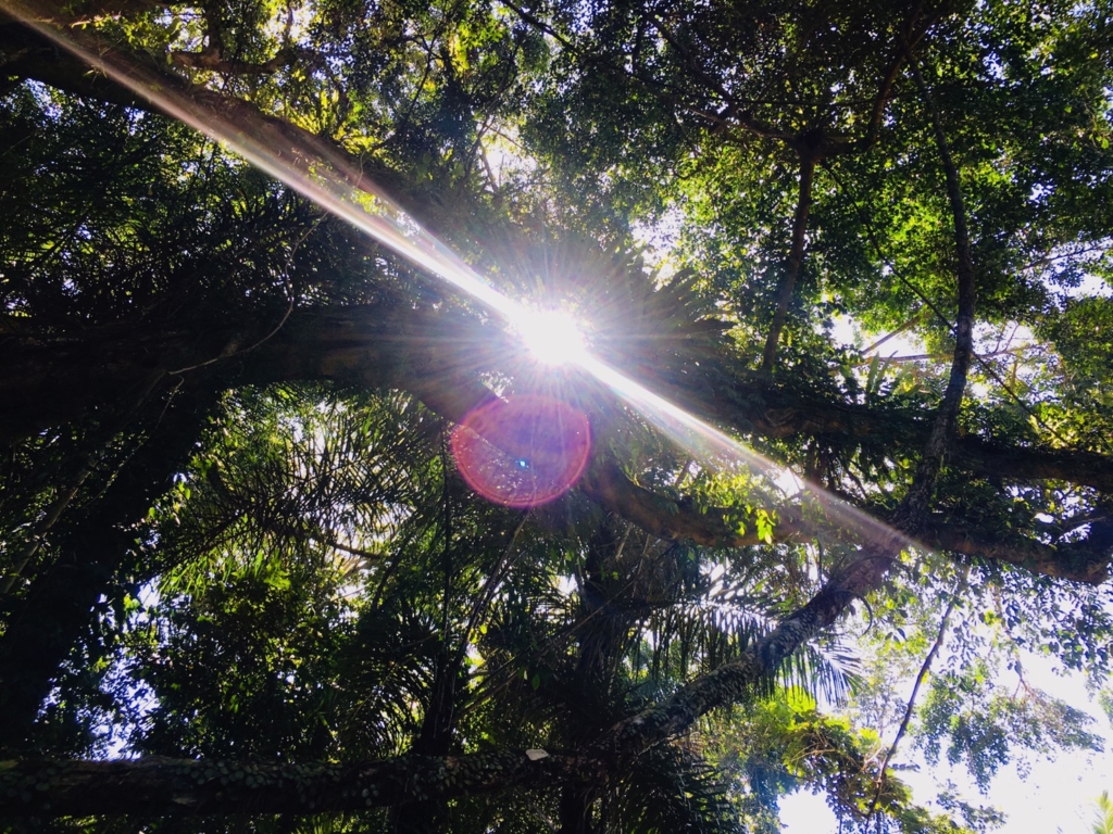 《紫外線対策》安心して使える日焼け止めとは?ー日焼け止めが素肌へ与えるダメージも考慮に入れて賢く選ぼう!ー